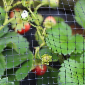 Butterfly & Bird Netting By The Metre